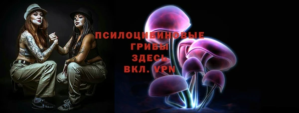 mdpv Арсеньев