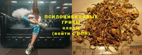 mdpv Арсеньев