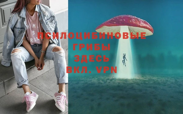 mdpv Арсеньев